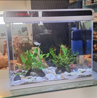 (Category: ) located in . Submitted by brula21 (Listing ID 1339556908, Image 1). Description: .