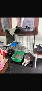 (Kategori: ) berada di . Dikirim oleh adoptme_stuff (ID iklan 1339733324, Gambar 1). Deskripsi: .