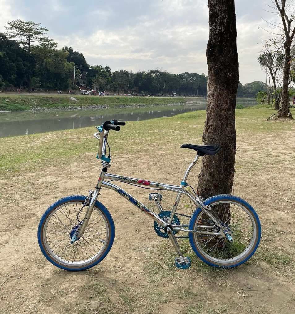 ROYCE UNION VINTAGE BMX Sports Equipment Bicycles Parts Bicycles on Carousell
