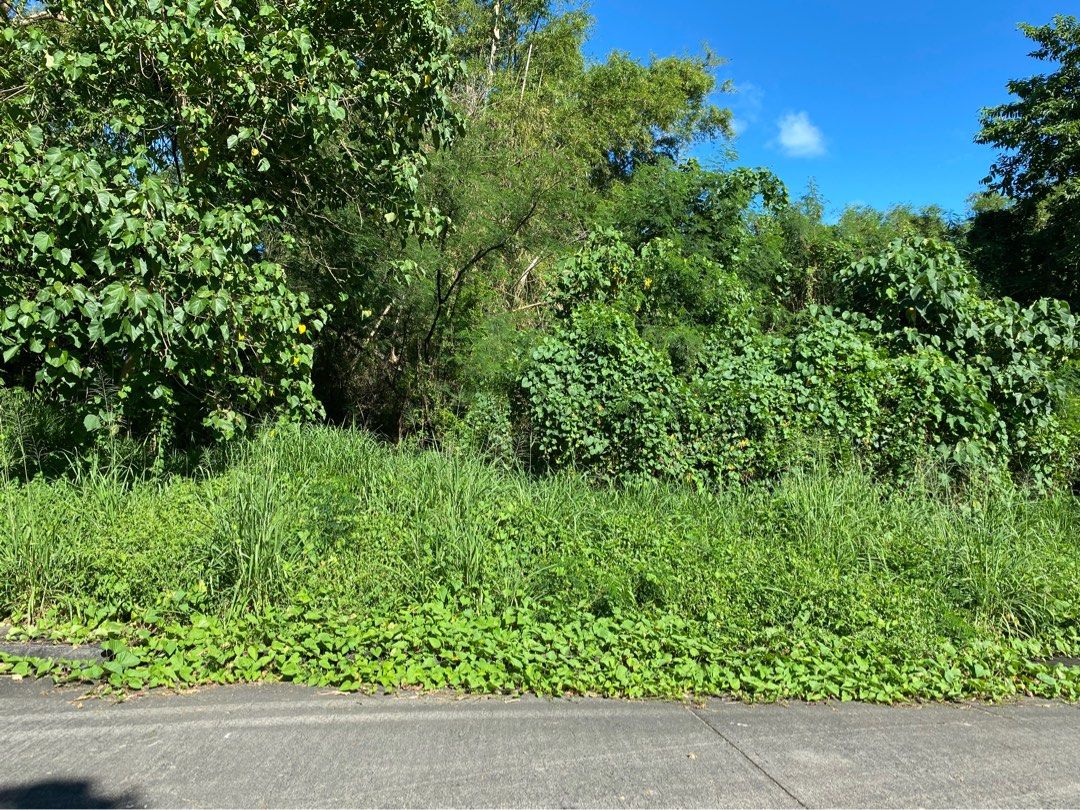 Susana Heights Subdivision Lot (Category: Lot) located in Manila. Submitted by lauro.catibayan (Listing ID 1333933656, Image 1). Description: Susana heights subdivision 517 Sqm . Clean title .