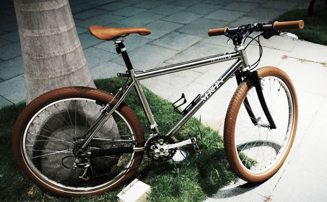 x Schwalbe Big Apple Ben 20 26 27 /29 inch Tyre Coffee Creme