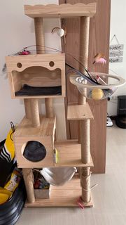 (Category: ) located in . Submitted by mardi.studio11 (Listing ID 1344445406, Image 1). Description: .