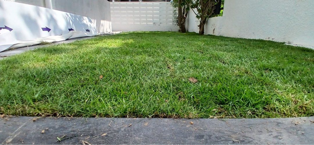 Monthly Gardening Services64884979007235112