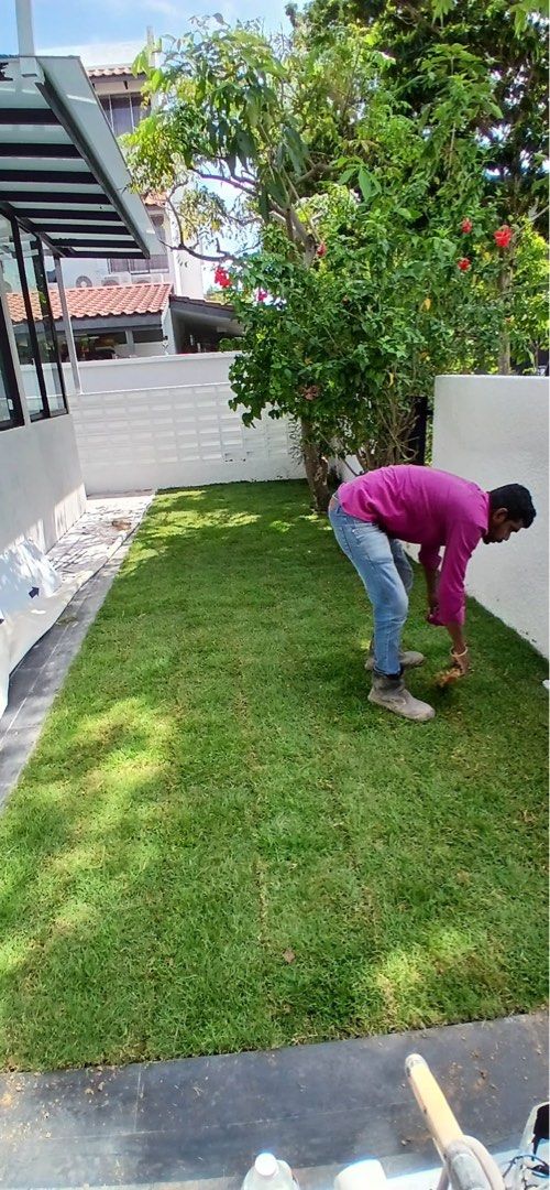 Monthly Gardening Services64884979007235111