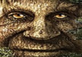 (Category: ) located in . Submitted by robuxman420 (Listing ID 1344484289, Image 1). Description: .