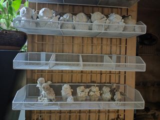 （分類：）位於 。 由 grandcloud.0541ca 提交（商品編號 1344664267，圖片 1）。簡介： 。