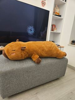 （分類：）位於 。 由 kkkkaye 提交（商品編號 1344722912，圖片 1）。簡介： 。