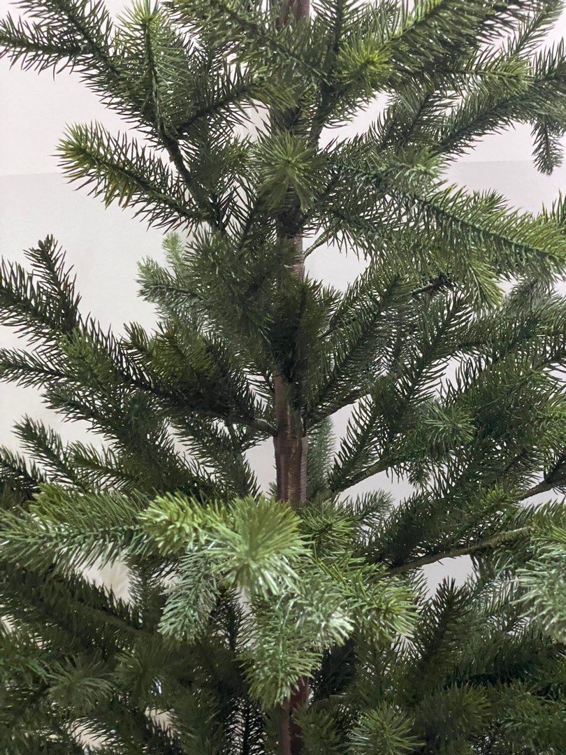 Christmas Tree65075511756931111