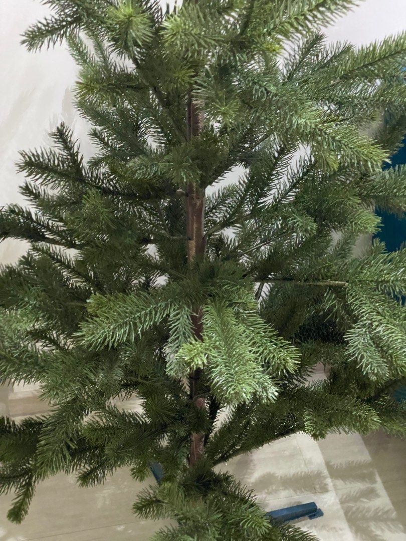 Christmas Tree65075511756931112