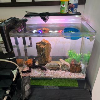 (Category: ) located in . Submitted by pjkid (Listing ID 1344710396, Image 1). Description: .
