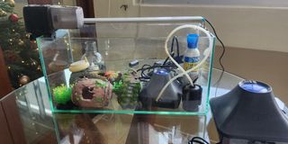 (Category: ) located in . Submitted by mario.saggi2 (Listing ID 1344740257, Image 1). Description: .