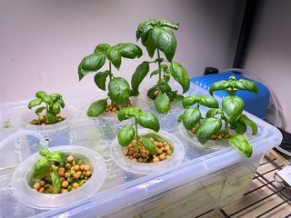 （分類：）位於 。 由 bitterdragonfly 提交（商品編號 1344712662，圖片 1）。簡介： 。