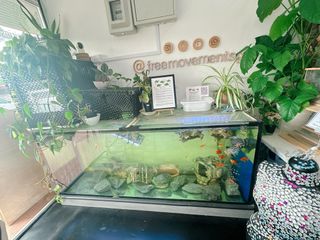 (Category: ) located in . Submitted by sandrafaustina (Listing ID 1339767461, Image 1). Description: .