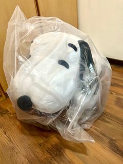 由 miluabi (刊登 ID 1339837145，圖片 1) 提交，位於 的 (類別：)，說明：。