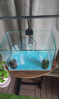 (Category: ) located in . Submitted by sammyvan (Listing ID 1339773800, Image 1). Description: .