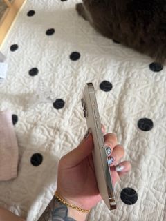 (Category: ) located in . Submitted by floralslove (Listing ID 1339813623, Image 1). Description: .