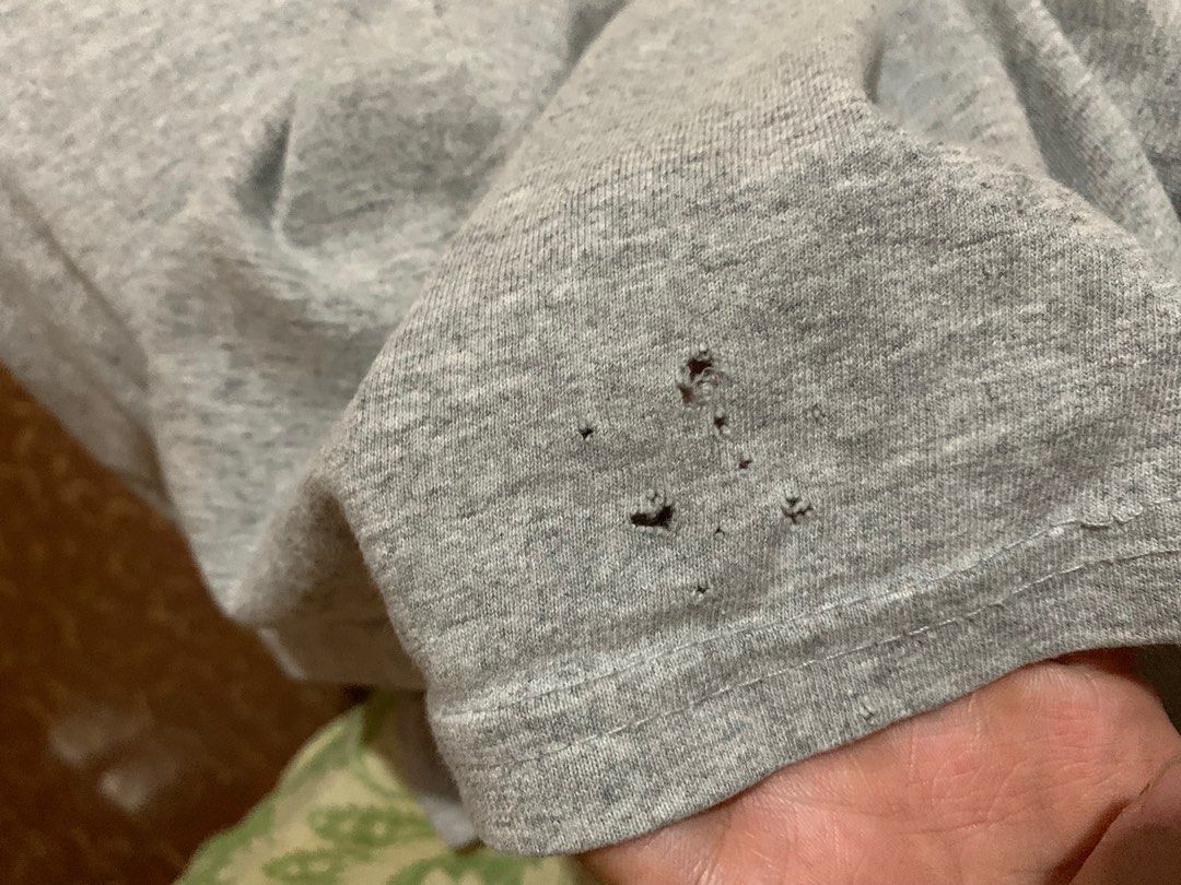 Nascar Jimmie Johnson (Category: Tshirts & Polo Shirts ) located in Santiago. Submitted by nectardept (Listing ID 1339904383, Image 3). Description: 📍Dimes: Width = 24 ; Length = 30.5 📍Issue: Hairlines and pinhole near hem (Picture included in post) 📍Color rate: 9.5/10 📍All items need wash.