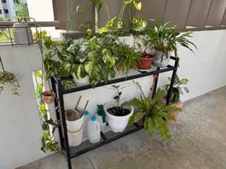 (Category: ) located in . Submitted by migawari (Listing ID 1339828372, Image 1). Description: .