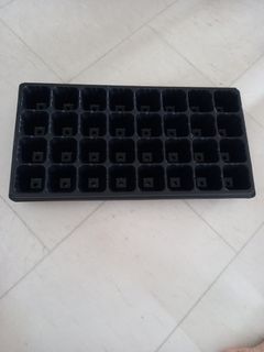 Sport bra, Women's Fashion, Activewear on Carousell