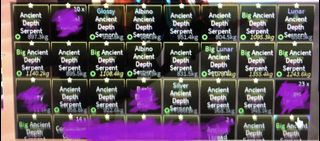 (Category: ) located in . Submitted by eushlrbplays (Listing ID 1339897577, Image 1). Description: .