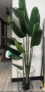 (Category: ) located in . Submitted by rafieas (Listing ID 1340023022, Image 1). Description: .