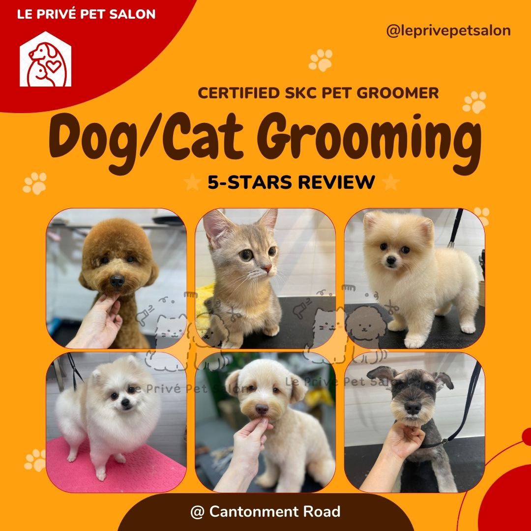 (Category: ) located in . Submitted by petlovergroomer (Listing ID 1138747707, Image 1). Description: .