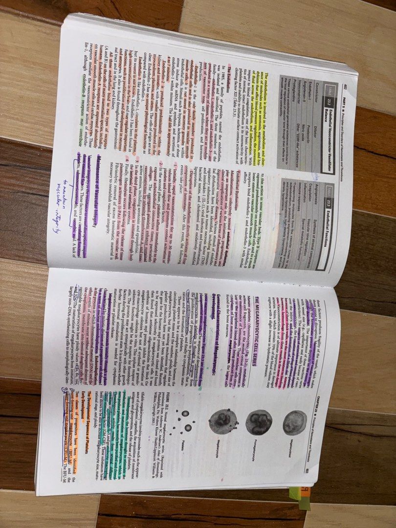 Clinical hematology by Turgeon 5th edition (Category: Textbooks) located in Rizal. Submitted by claramoran90581 (Listing ID 1340071280, Image 3). Description: Original price in c&e bookshop: 2,000+ (as what i have remembered if not mistaken) Shipping fee will be shouldered by buyer. Shipping fee will depend on what courier to use and distance of buyer’s location to my location. The price listed is the last price. Please do understand. Available f