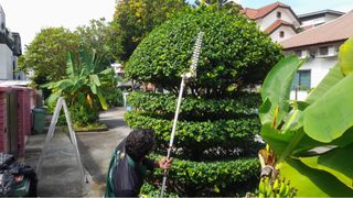 (Category: ) located in . Submitted by greenamuletslandscape (Listing ID 1340085680, Image 1). Description: .