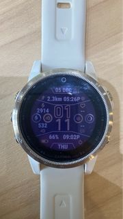 Garmin Fenix 5s (White)