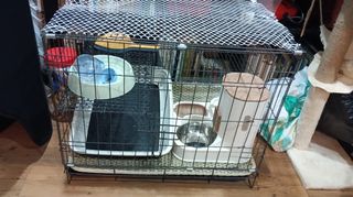 (Category: ) located in . Submitted by nasrullahc02817 (Listing ID 1340071457, Image 1). Description: .