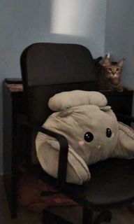 (Category: ) located in . Submitted by sharmamarket (Listing ID 1340102849, Image 1). Description: .