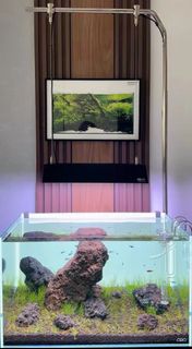 (Category: ) located in . Submitted by natureaquaticsystem (Listing ID 1340201503, Image 1). Description: .
