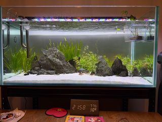 (Category: ) located in . Submitted by tandevu (Listing ID 1340242232, Image 1). Description: .