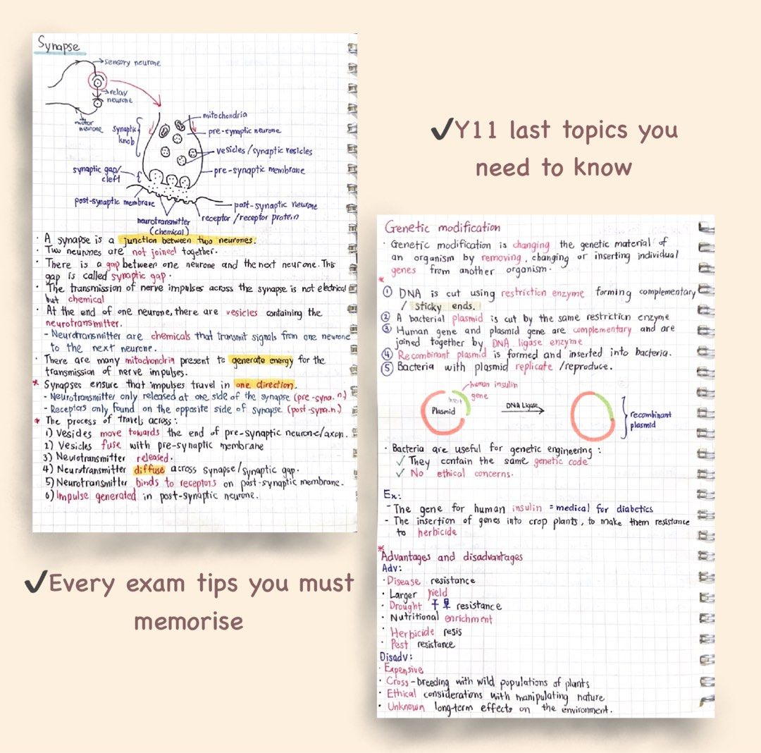 Biology 0610 IGCSE PDF NOTE, Hobbies & Toys, Books & Magazines ...