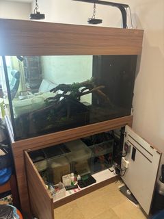 (Category: ) located in . Submitted by useditemsg (Listing ID 1340455154, Image 1). Description: .