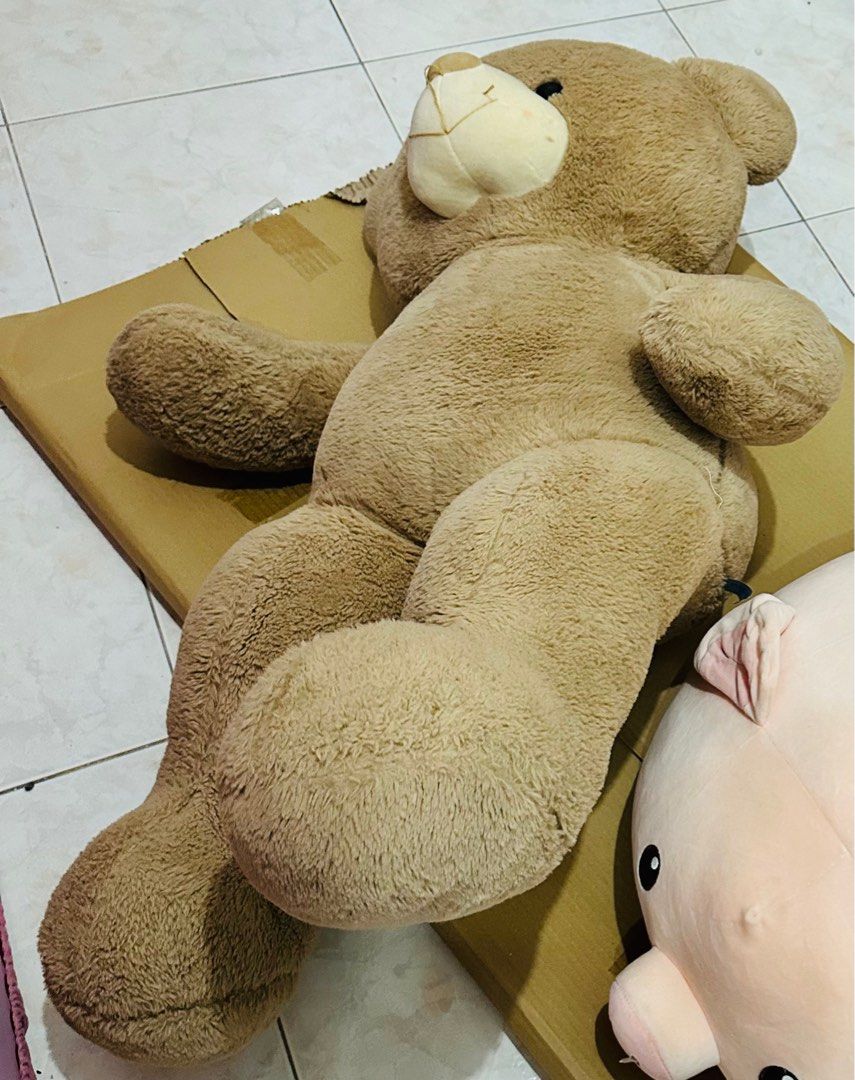 Giant Brown Teddy Bear (Category: Plushies & Soft Toys) located in Pasay City. Submitted by superdarcy (Listing ID 1340453306, Image 3). Description: RFS:declutterring .