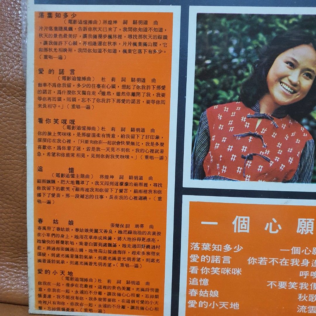 MINT/台版】尤雅＊岚依风- 追忆/落叶知多少Vinyl record LP 黑膠唱片, Hobbies & Toys, Music &  Media, Vinyls on Carousell