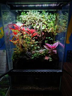 (Category: ) located in . Submitted by Fortune_Green_Design (Listing ID 1340419060, Image 1). Description: .
