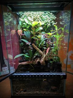 (Category: ) located in . Submitted by Fortune_Green_Design (Listing ID 1340419424, Image 1). Description: .