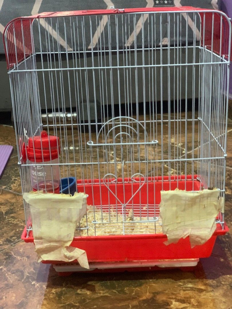 Sangkar sugar glider outlet