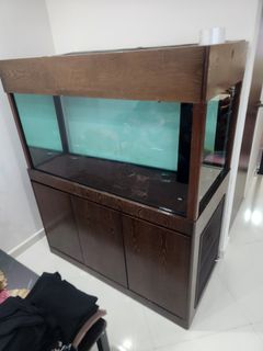 (Category: ) located in . Submitted by mdslm (Listing ID 1340652059, Image 1). Description: .