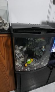(Category: ) located in . Submitted by alex59 (Listing ID 1338288100, Image 1). Description: .