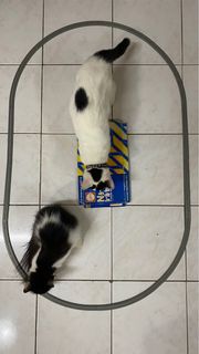(Category: ) located in . Submitted by usrnme24 (Listing ID 1340554586, Image 1). Description: .