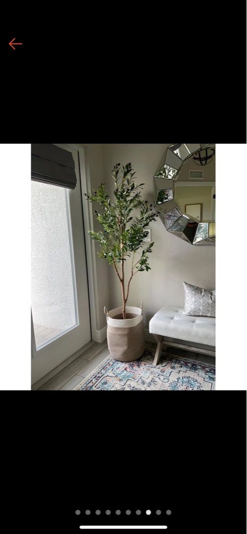 PRE-ORDER | Olivia Plant Decor (Category: Artificial Plants & Flowers) located in Manila. Submitted by _marganicole (Listing ID 1340630755, Image 2). Description: Pre-order (ETA 5-7 days) Once the item is on-hand we can do lalamove same day delivery or thru J&T, LBC🤍 About Olivia Plant Decor👀 - Height Options: 5FT (150cm), 6FT (160cm) - Artificial Olive Tree - With small black flower pot - Nice decor for a room or living room🪴.