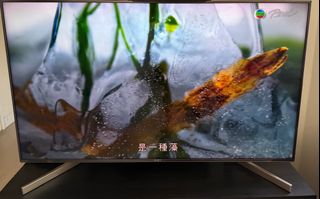 （分類：）位於 。 由 willismok 提交（商品編號 1340521463，圖片 1）。簡介： 。