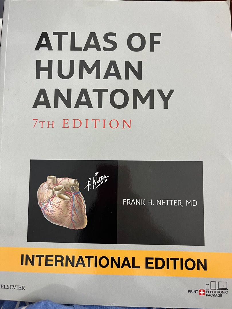 Atlas of Human Anatomy 7th edition Frank Netter, Hobbies & Toys, Books ...