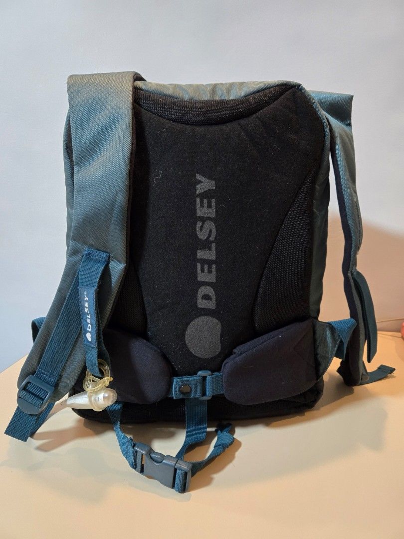 Delsey insect expandable laptop bag Men s Fashion Bags Backpacks on Carousell
