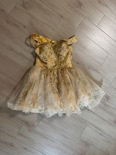 Gold princess dress 成人公主裙 金色 聖誕節新年 Christmas New Year party64235515236355110