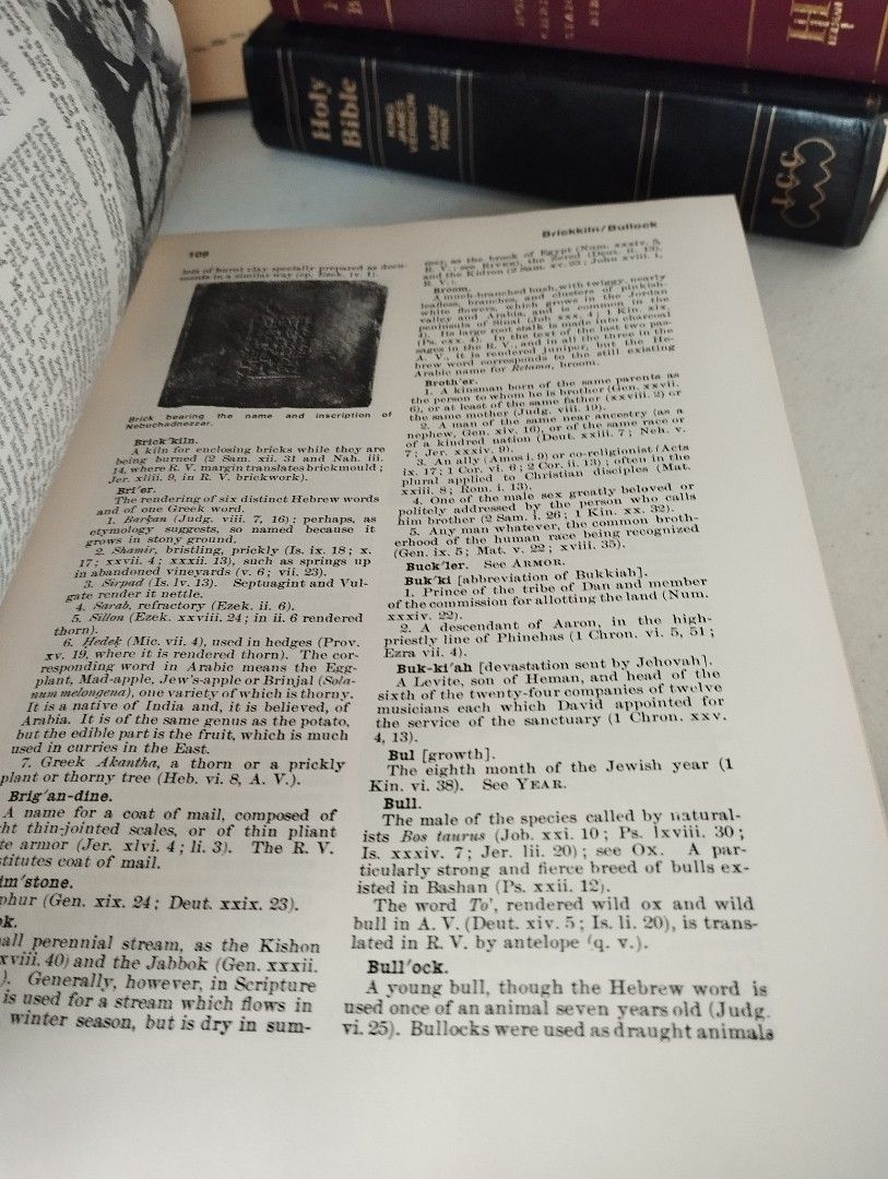 Illustrated Davis Bible Dictionary (Category: Religion Books) located in Orani. Submitted by sulitdeals1215 (Listing ID 1340688832, Image 3). Description: .