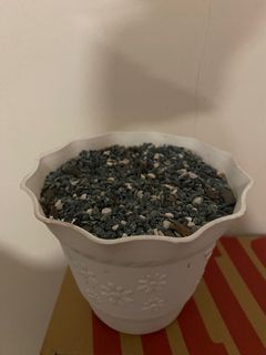 (Category: ) located in . Submitted by geraldine3636 (Listing ID 1340676658, Image 1). Description: .